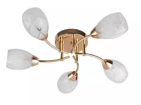 Потолочная люстра Toplight Lucy TL7120X-05FG