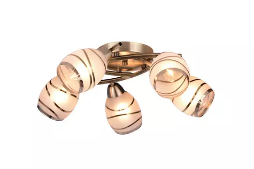 Потолочная люстра Toplight Polly TL3720X-05AB