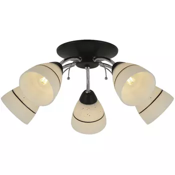 Потолочная люстра Toplight Winnifred TL1255D-05BC