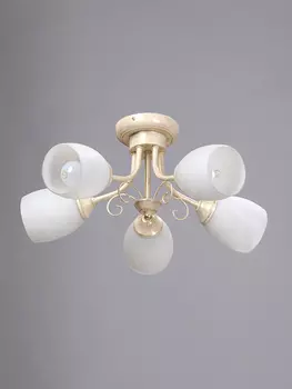 Потолочная люстра Vitaluce 3165 V3165/5PL