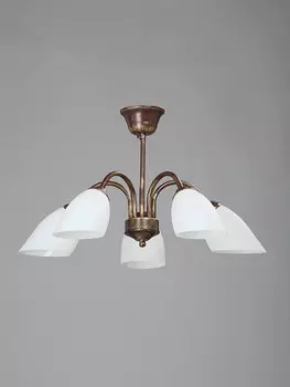 Потолочная люстра Vitaluce 3247 V3247/5PL