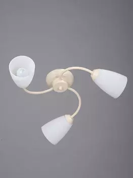 Потолочная люстра Vitaluce 3248 V3248/3PL