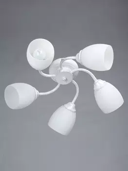 Потолочная люстра Vitaluce 3249 V3249/5PL