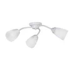 Потолочная люстра Vitaluce 3258 V3258/3PL