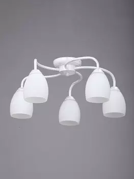 Потолочная люстра Vitaluce 3595 V3595/5PL