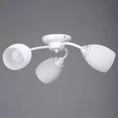 Потолочная люстра Vitaluce 3597 V3597/3PL