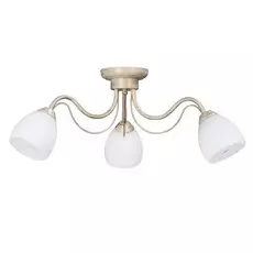 Потолочная люстра Vitaluce 3598 V3598/3PL