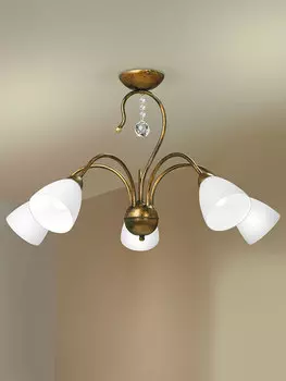 Потолочная люстра Vitaluce 3654 V3654/5PL