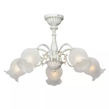 Потолочная люстра Vitaluce V1061/5PL