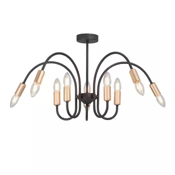 Потолочная люстра Vitaluce V3026-1/10PL