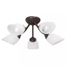 Потолочная люстра Vitaluce V3404/5PL