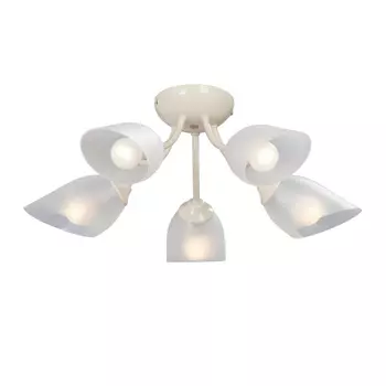 Потолочная люстра Vitaluce V3405/5PL