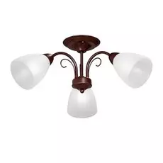 Потолочная люстра Vitaluce V3499/3PL