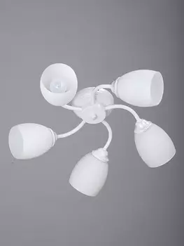 Потолочная люстра Vitaluce V3597 V3597/5PL