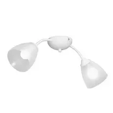 Потолочная люстра Vitaluce V3737 V3737-0/2PL