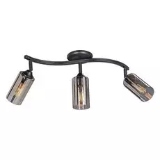 Потолочная люстра Vitaluce V4315-1/3PL