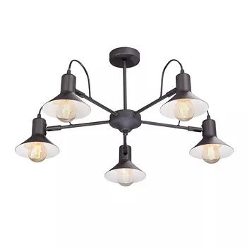 Потолочная люстра Vitaluce V4874-1/5PL