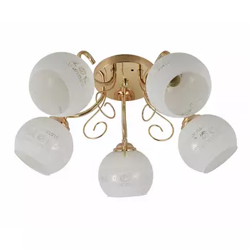 Потолочная люстра Wedo Light 51691.01.01.05