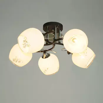 Потолочная люстра Wedo Light 65814.01.13.05