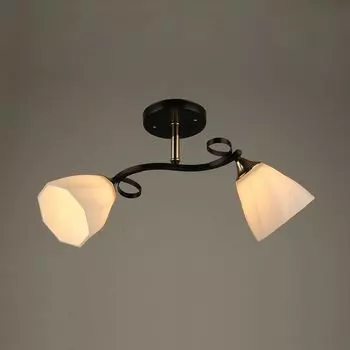 Потолочная люстра Wedo Light 65874.01.21.02