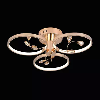 Потолочная люстра Wedo Light 78924.01.01.03