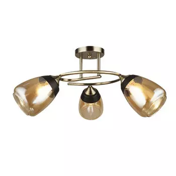 Потолочная люстра Wedo Light Aldino 66425.01.05.03