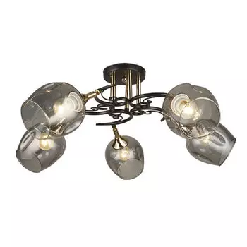 Потолочная люстра Wedo Light Alvi 66744.01.15.05