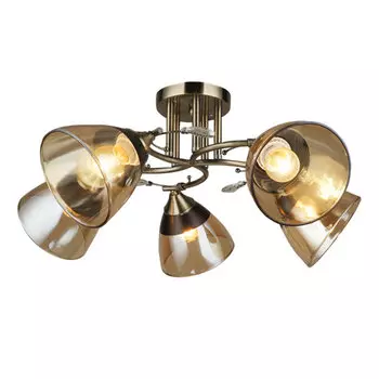 Потолочная люстра Wedo Light Бормио 66368.01.05.05