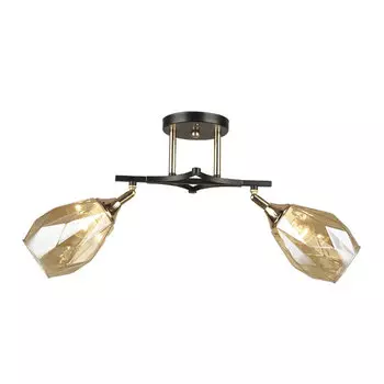 Потолочная люстра Wedo Light Deylna 66749.01.69.02