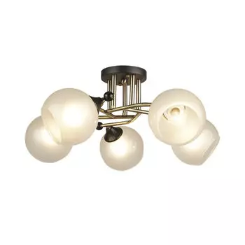 Потолочная люстра Wedo Light Fosten 66698.01.37.05