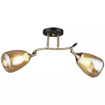 Потолочная люстра Wedo Light Иллази 66277.01.37.02