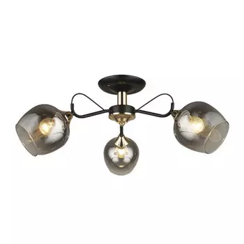 Потолочная люстра Wedo Light Isora 66606.01.69.03