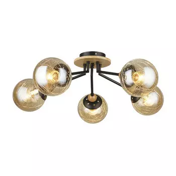 Потолочная люстра Wedo Light Narva 66716.01.86.05