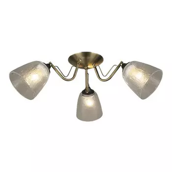 Потолочная люстра Wedo Light Rena 66609.01.37.03