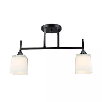 Потолочная люстра Wedo Light Semel WD3640/2C-BK-CR-WT