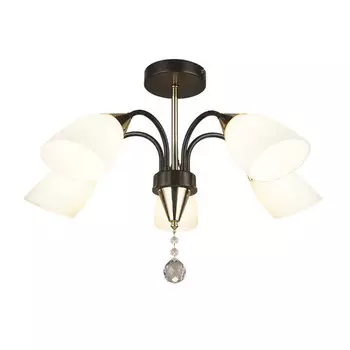 Потолочная люстра Wedo Light Tasita 66613.01.15.05