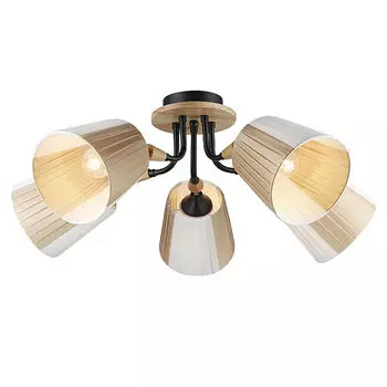 Потолочная люстра Wedo Light Vilmos WD3583/5C-BK-BG