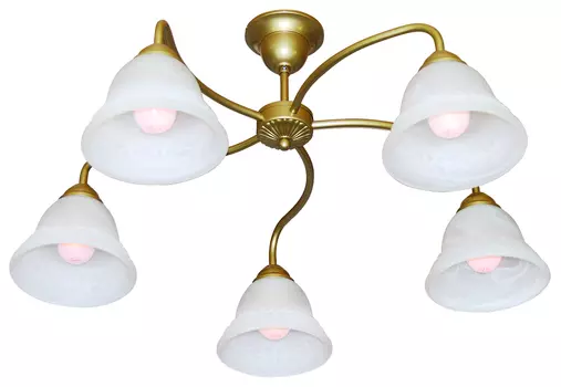 Потолочная люстра Жар Птица АРФА L03P1-05-Z