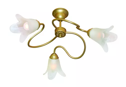 Потолочная люстра Жар Птица АВРОРА L01P1-03-Z