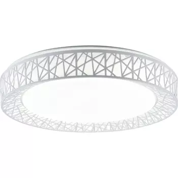 Потолочная светодиодная люстра Diana Toplight TL1204X-72WH