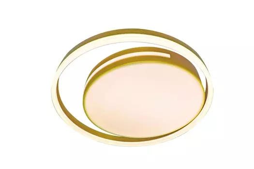 Потолочная светодиодная люстра Led Lamps Natali Kovaltseva LED LAMPS 8