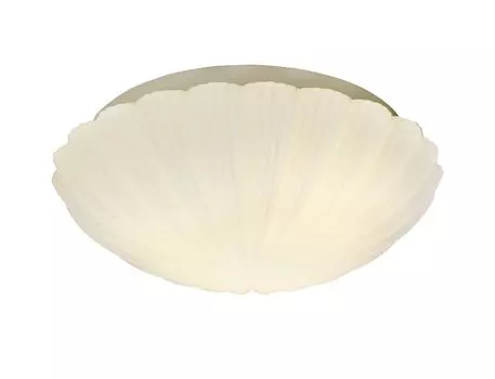 Потолочный светильник ST Luce SL495.502.03