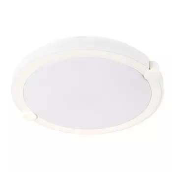 Потолочный светодиодный светильник Arte Lamp Biscotti A2679PL-72WH