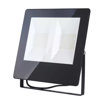 Прожектор уличный Elektrostandard FL LED Прожектор 011 FL LED 100W 6500K IP65