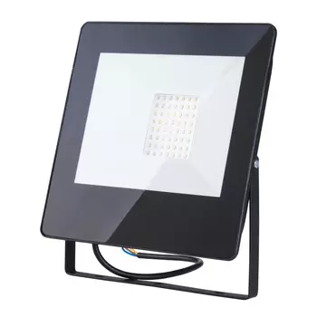 Прожектор уличный Elektrostandard FL LED Прожектор 015 FL LED 50W 6500K IP65