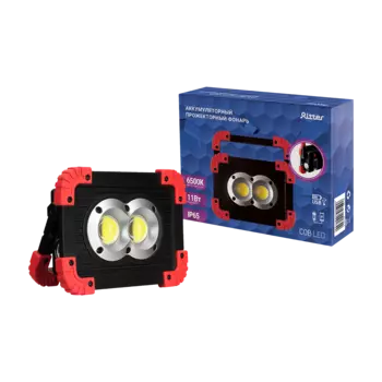 Прожектор уличный Ritter 29132 9