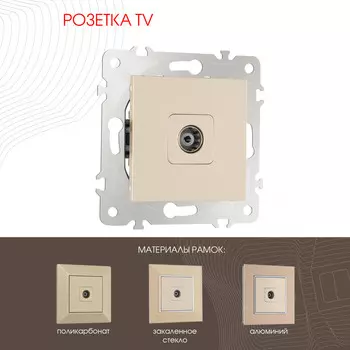 Розетка Arte Milano Am-203 203.43-1.shampan