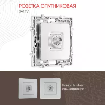 Розетка Arte Milano Am-217 217.42-1.silver