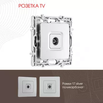 Розетка Arte Milano Am-217 217.43-1.silver