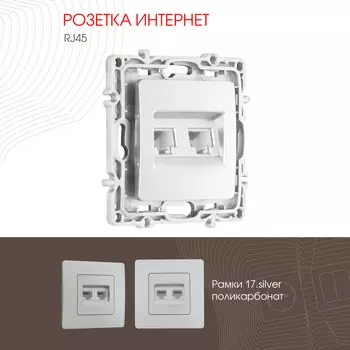 Розетка Arte Milano Am-217 217.45-2.silver